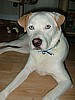 Casper, Rescued in 2005